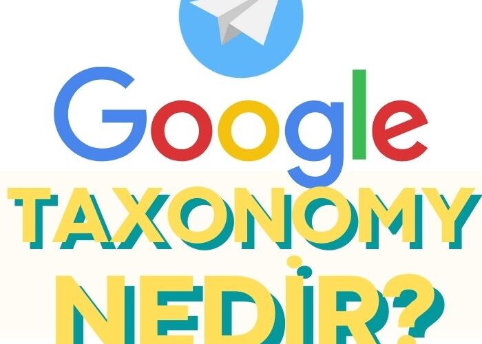 Google Taxonomy Nedir? Nasıl Kullanılır?