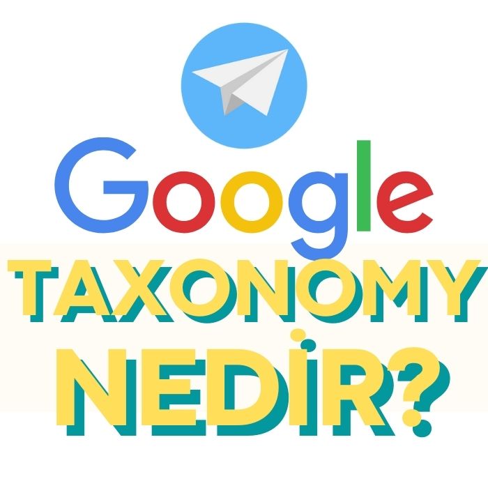 google-taxonomy-nedir-nasil-kullanilir