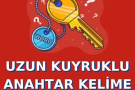 uzun-kuyruklu-anahtar-kelime-nedir-kapak