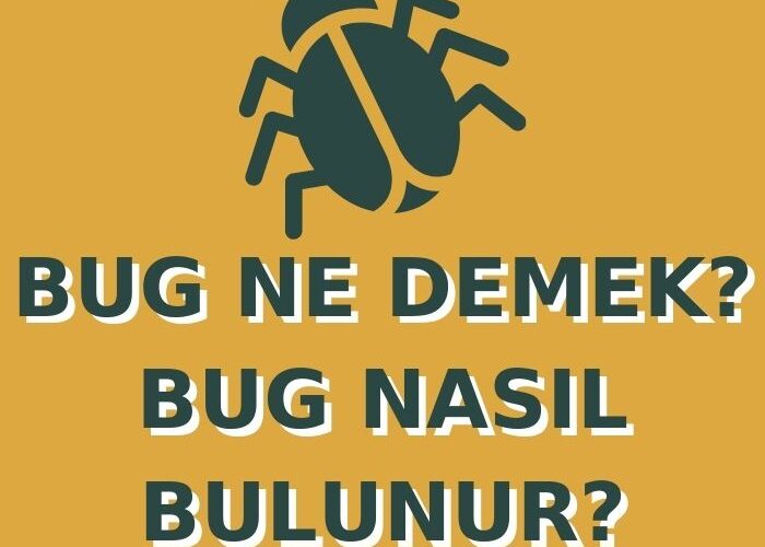 bug-ne-demek-bug-nasil-bulunur