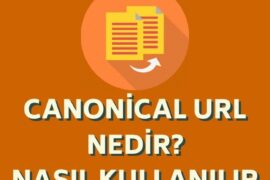 canonical-url-nedir-