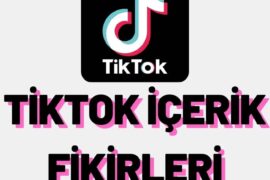 tiktok-icerik-fikirleri